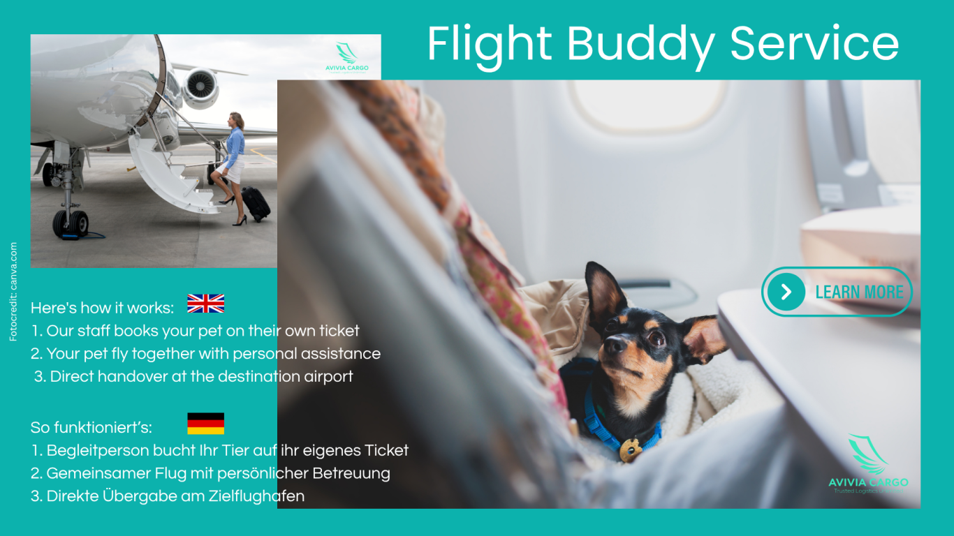 Flight Buddy Service